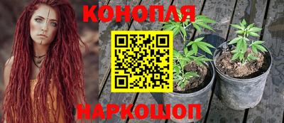 дживик Ирбит